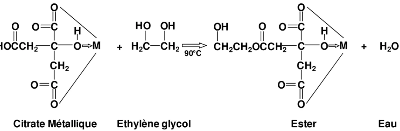 Figure I-5: Réaction d’estérification entre l’éthylène glycol et le citrate métallique