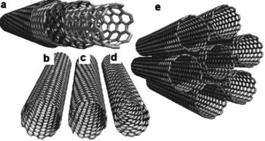 Figure I-14 : Représentations des différentes structures de nanotubes de carbone. (a) Nanotubes de  carbone multi-feuillets (MWCNT)