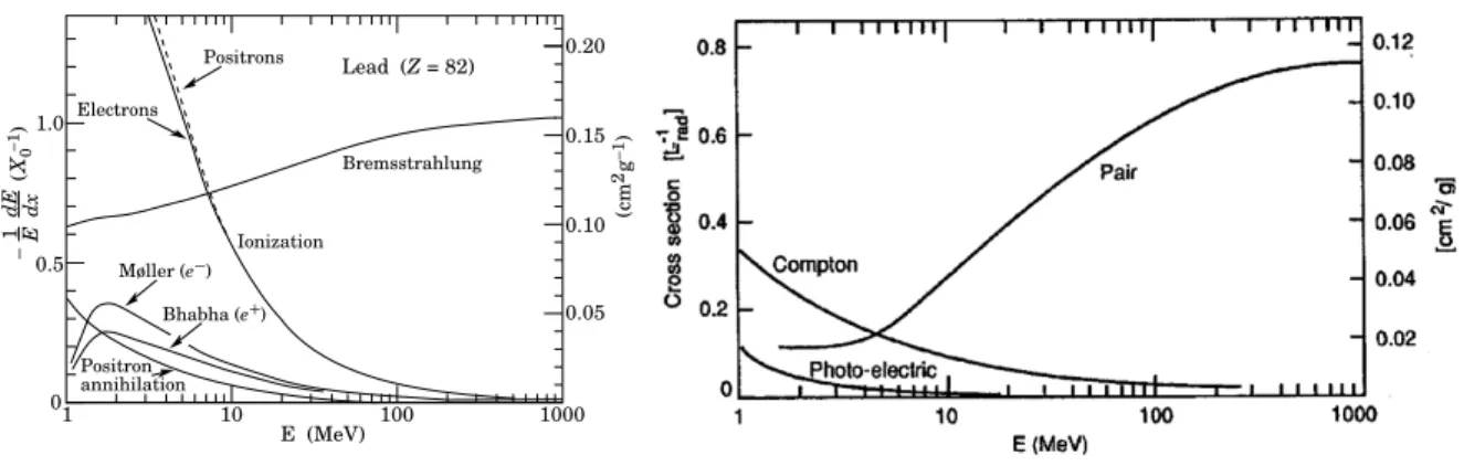 Figure 5.1: Right: Fractional energy lost in lead by electrons and positrons as a function of energy [134]