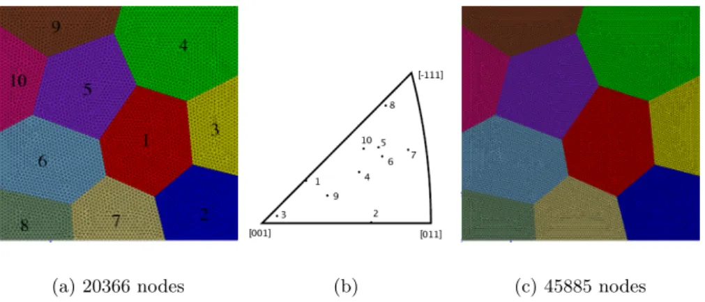 Figure III.43 : Polycrystal aggregate consisting of 10 grains with mesh refinement