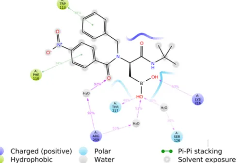 Figure 3. 2D representation of the predicted binding mode of compound 6e in the binding site of  OXA-23 β-lactamase