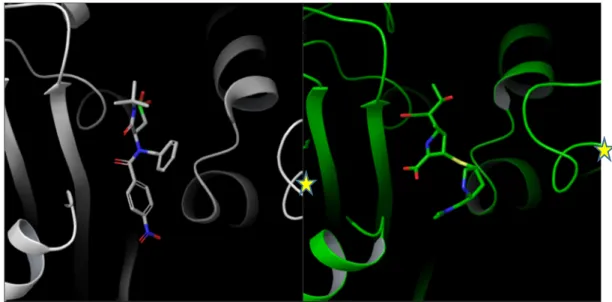 Figure 4. 3D comparison between the predicted binding mode of compound 6e (on the left) and the  X-ray structure of the OXA-23/meropenem complex (on the right panel)