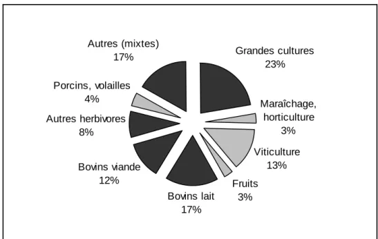 Figure  2.17  :  Répartition  des  exploitations  agricoles  professionnelles  par  type  de production (Données Agreste 2007) 