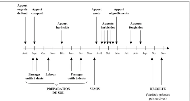 Figure 2.2 : Modélisation des processus opérationnels : Exemple de schéma de conduite du pro- pro-cessus de production de la betterave à sucre (AGEA) 