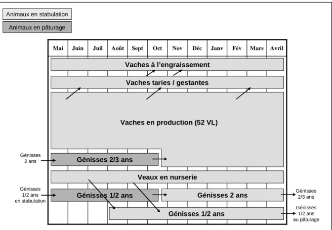 Figure  2.4 :  Modélisation  de  l'organisation  des  ressources  animales :  Exemple  de  calendrier  d'allotement pour un élevage de brebis (ASEA) 