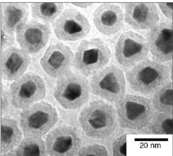 Figure 2.11: TEM image of bimetallic particles with core-shell morphology [8]. 