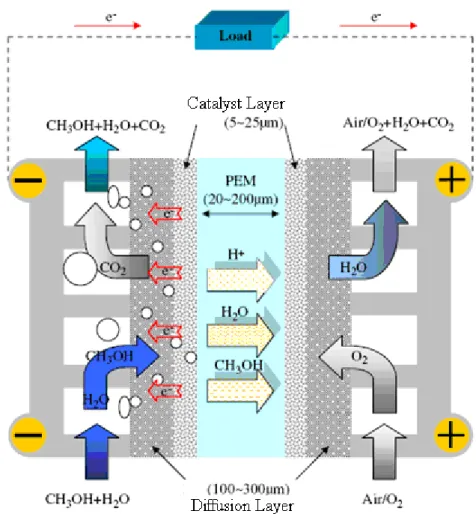 Figure 2.12: Schematic diagram of a typical fuel cell process for a DMFC [78]. 