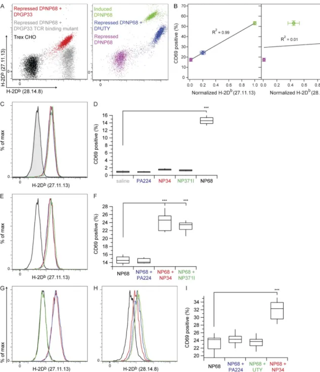 Figure 6.  Contribution of F5 TCR recognition of nonstimulatory H-2D b  pMHC to coagonism