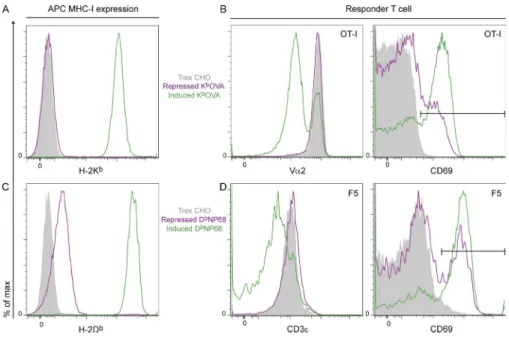 Figure 1.  Expression of inducible sc-MHCI  agonist molecules K b OVA and D b NP68 in  CHO cells and activation of corresponding  OT-I and F5 CD8 T cells