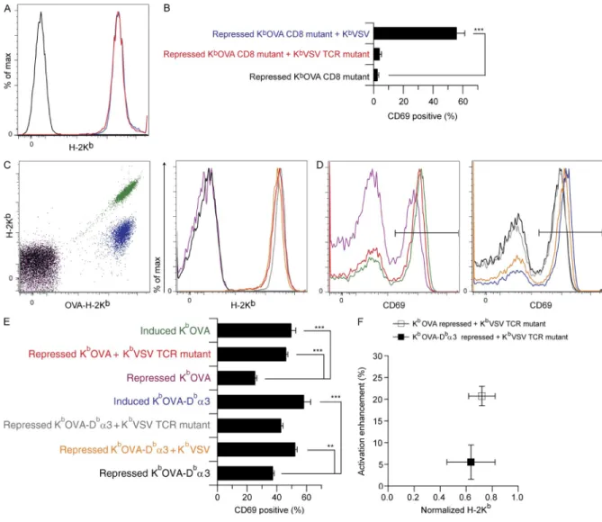 Figure 5.  Modulation of K b OVA CD8-binding affinity and associated changes in coagonism by K b VSV-TCRm