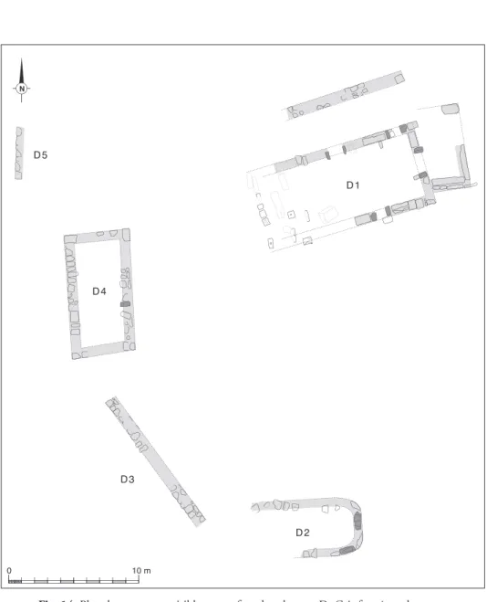Fig. 14. Plan des structures visibles en surface dans la zone D . Gris foncé : orthostates .