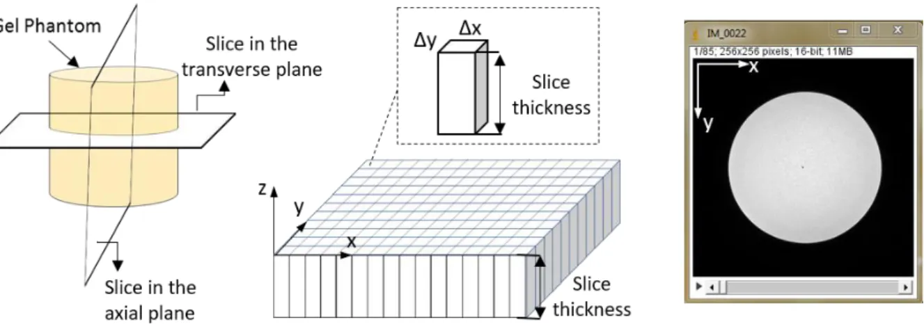 Figure 1.11. Scheme of MRI data acquisition: (left) chosen studied phantom slices, (middle) a slice divided into elemental  volumes called voxels and (right) a real acquired slice image depicted using the ImageJ software