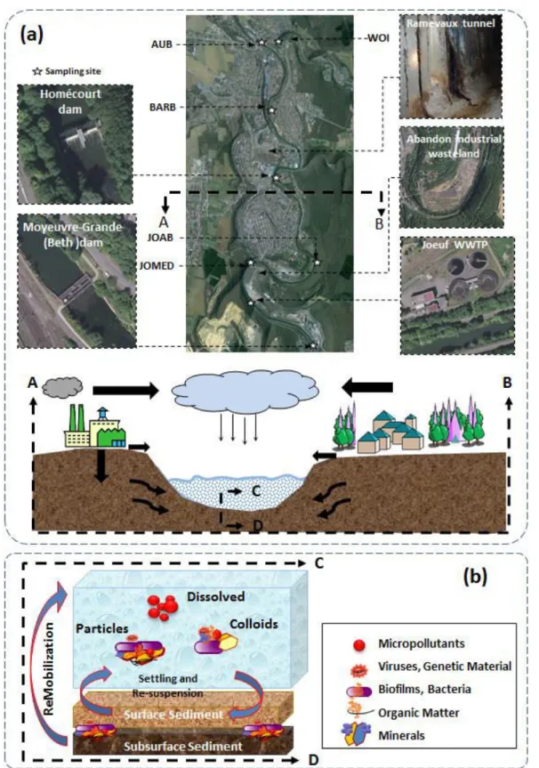Figure  I  1  Conceptual  diagram  showing  (a)  Possible  PACs  petrogenic  and  pyrogenic  emission  sources reaching the river system (the study area of the Orne river is taken as an example and  further details and sampling sites  are discussed later i