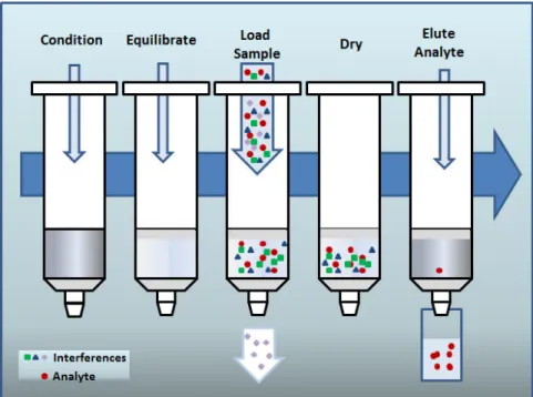 Figure II 11 Representation of solid phase extraction (SPE) methodology. 