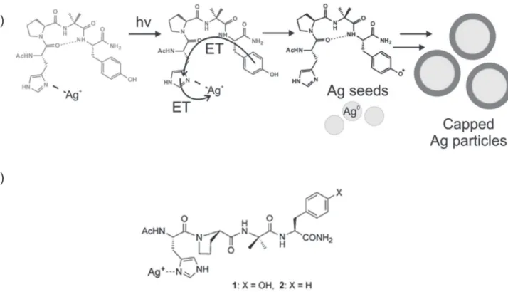 Figure 5.  The ﬁrst reduction steps during the formation of AgNPs from individual silver atoms are endergonic