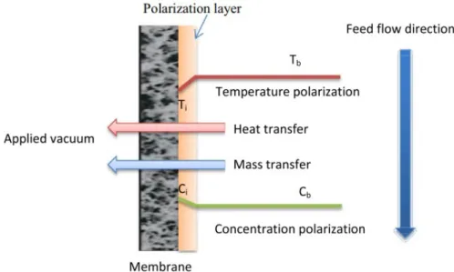 Figure 1.5: The two types of polarization phenomenon in membrane processes [15]