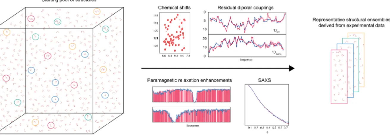 Fig.   1.4.   Deriving   representative   ensembles   of   IDPs   using   a   sample-­‐‑and-­‐‑select   approach