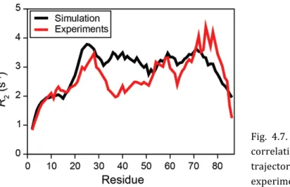 Fig.    4.7.    R 2     relaxation    rates    calculated    from    correlation    functions    extracted    from    trajectory    (black    line)    and    measured    experimentally   (red   line)