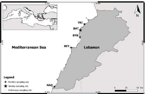 Figure 4 Figure 1 - A map showing the position of Lebanon on the Eastern Mediterranean coast as well  as the location of the sampling sites during the study (preliminary &amp; regular sampling sites)  Table 3- Table 1- Description and geographical coordina