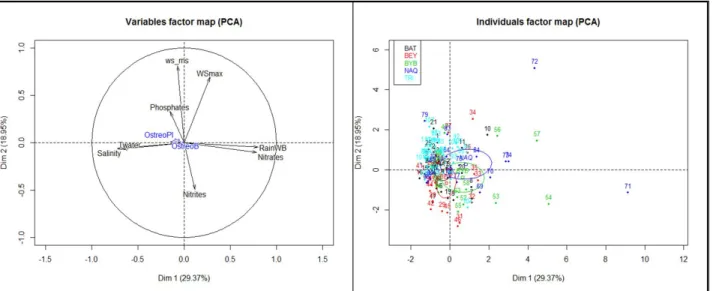 Figure 12 Figure 9 - Principal Component Analysis Variable factor map (left) and individuals factor  map (right) for environmental parameters (quantitative active variables), benthic and planktonic O