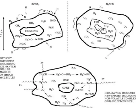 Figure 1.2.4: Schematic representation of the different types of ices mantles and their components