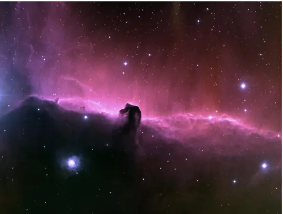 Figure 1.3.1: The Horse Head Nebula is part of Orion molecular cloud. The nebula is formed by the dust blocking the light from the glowing gas in the  back-ground