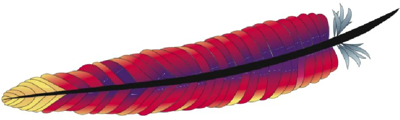 Figure 20 : Logo Apache2