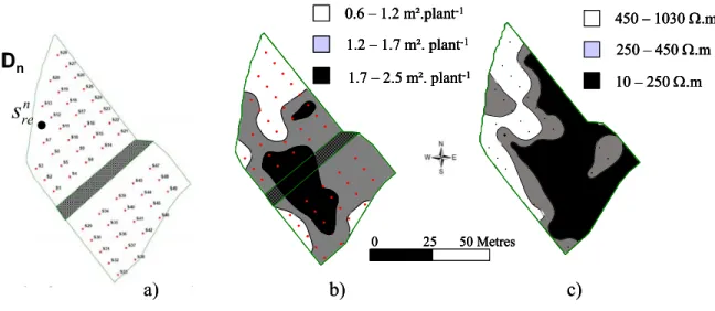 Figure 2a presents the 1.2 ha study area (D n ) under consideration, it corresponds to a grape  field