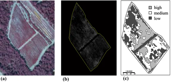 Fig 1. Different steps of the image processing: (a) original image (B, G, R and NIR), (b) extraction of  the boundary of the field and calculation of NDVI within the field, (c) NDVI map after applying a 3x3  pixel moving average window, with low (dark grey