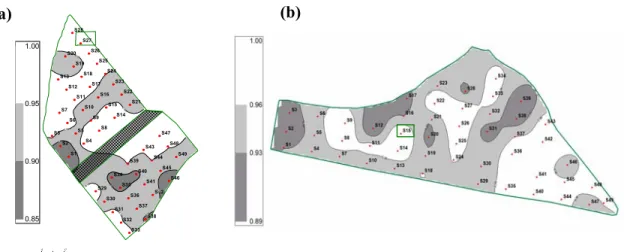 Figure 2 Maps of normalized difference vegetation index (NDVI) estimated at August 2006: (a) on  Shiraz and (b) on Mourvèdre
