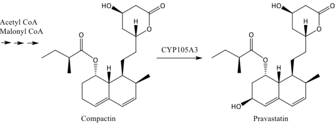Figure  I-8 :  Biotransformation  de  la  compactine  en  pravastine  par  CYP105A3  dans  l’organisme  de  S.carbophilus
