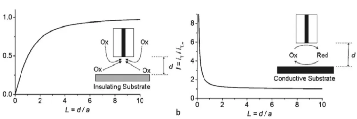 Figure  I-24 :  A  gauche,  feedback  négatif :  mesure  du  courant  lorsque  l’UME  est  approchée  d’un  substrat  isolant