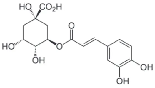 Figure 11 : Structure d’un acide chlorogénique, l’acide trans-5-O-caféoylquinique. 