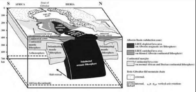 Figure I-7 : modèle d’évolution géodynamique de la mer d’Alboran avec retrait du plan de subduction (Duggen  et al., 2008)