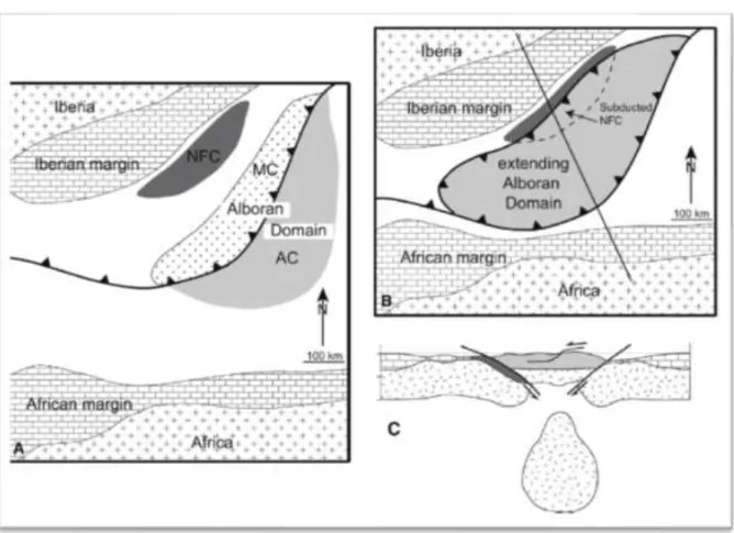 Figure  I-8  :  Modèle  d’évolution  géodynamique  de  la  mer  d’Alboran  invoquant  les  processus  de  délamination  crustale  (Platt  et  al.,  2006)