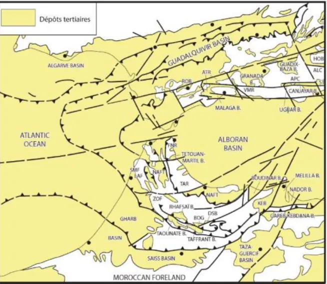 Figure I-14 : Cartographie des principaux bassins sédimentaires néogènes développés au sein et autour du domaine  d’Alboran (modifié d’après Sissingh, (2008))