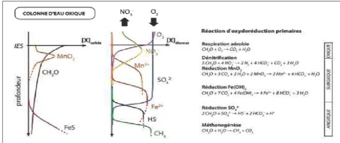Figure 8 Réactions d’oxydo-réduction primaires et profils diagénétiques rencontrés dans les eaux interstitielles  et les sédiments