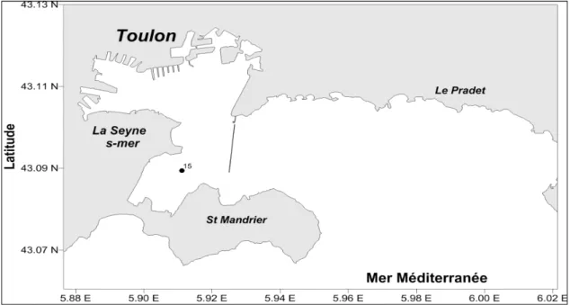 Figure 10 Zone d’échantillonnage des sédiments de la baie du lazaret en petite rade de Toulon (point 15 noir)