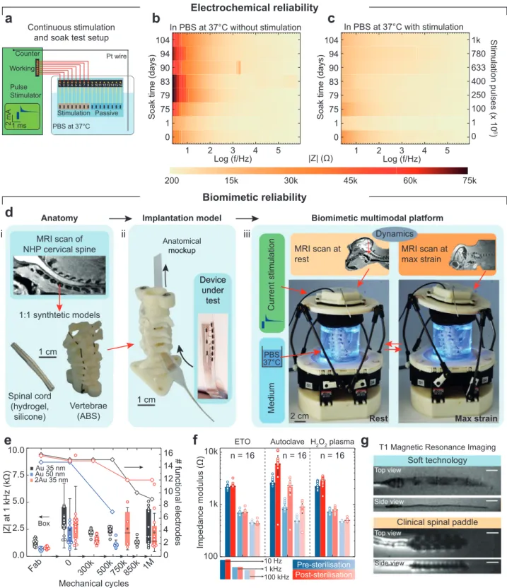 Figure 3.  Multimodal and biomimetic in vitro characterization. a) Schematic diagram of the setup for continuous stimulation and soak test (charge- (charge-balanced, capacitor-coupled current pulses (2 mA amplitude, 0.3 ms cathodic pulsewidth, 400 Hz))