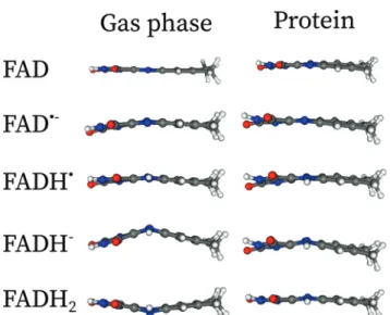 Fig. 3 Comparaison of the minimum energy structures in the gas phase and in protein embedding the isoalloxazine fragment of FAD along the xz-plane