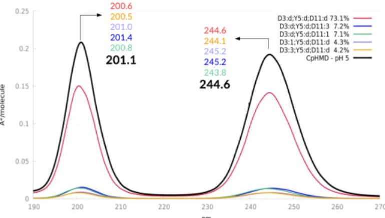 Fig. 9 Selected average distances (in Å) at pH=5 (in red) and pH=11 (in blue) between D3 (blue, bottom left), Y5 (purple), D11 (blue, top right), W14 (orange) and R16 (green).