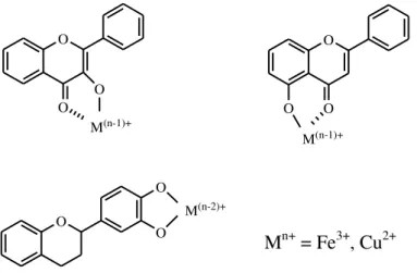 Figure 21: Sites de chélation des ions métalliques par les flavonoïdes [92] 
