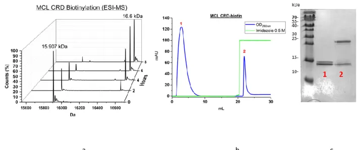 Table 12. ECD expression and purification yield. Green = good, yellow = to improve 