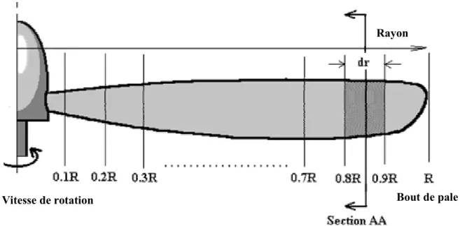 Fig. II. 8. Subdivision de la pale en éléments finis  Regardons plus en détails cette méthode
