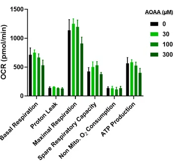 Figure 12. Effect of AOAA on bioenergetics parameters and cell viability in CT26 cells: Analysis of  oxidative phosphorylation-related bioenergetics parameters