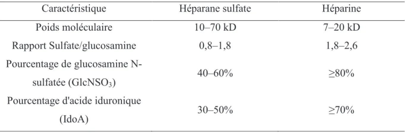 Tableau 1: Comparaison des caractéristiques structurales entre l'héparane sulfate et l'héparine  (Esko et al., 2009) 