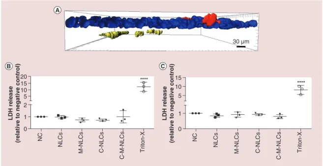 Figure 2. Cell layer integrity and LDH release following lipid nanoparticles exposures to the 3D human lung model.