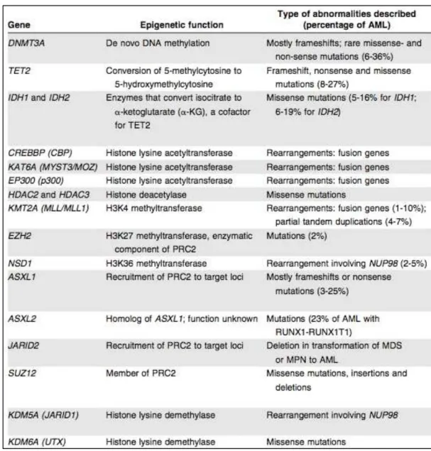 Table 3: Recurrently mutated or translocated genes with epigenetic function in AML. (Wouters  and Delwel 2016) 
