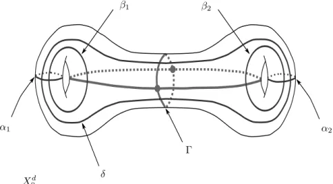 Figure 2. On the symmetric Riemann surface X 0 d , we draw the critical graph Γ of the measured foliation F = α 1 + α 2 