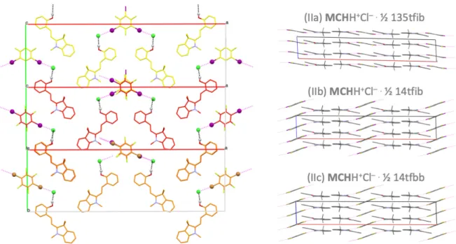 Figure  2.  Left:  Partial  packing  diagram  of  (IIa)  yellow  C-atoms,  (IIb)  red  C-atoms  and  (IIc)  orange C-atoms in an overlay showing each MCHH + Cl –  with one XB donor connected to the Cl – ion